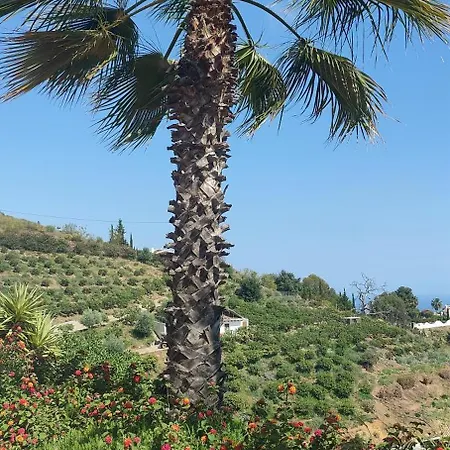 Bed and breakfast Sol Y Cielo